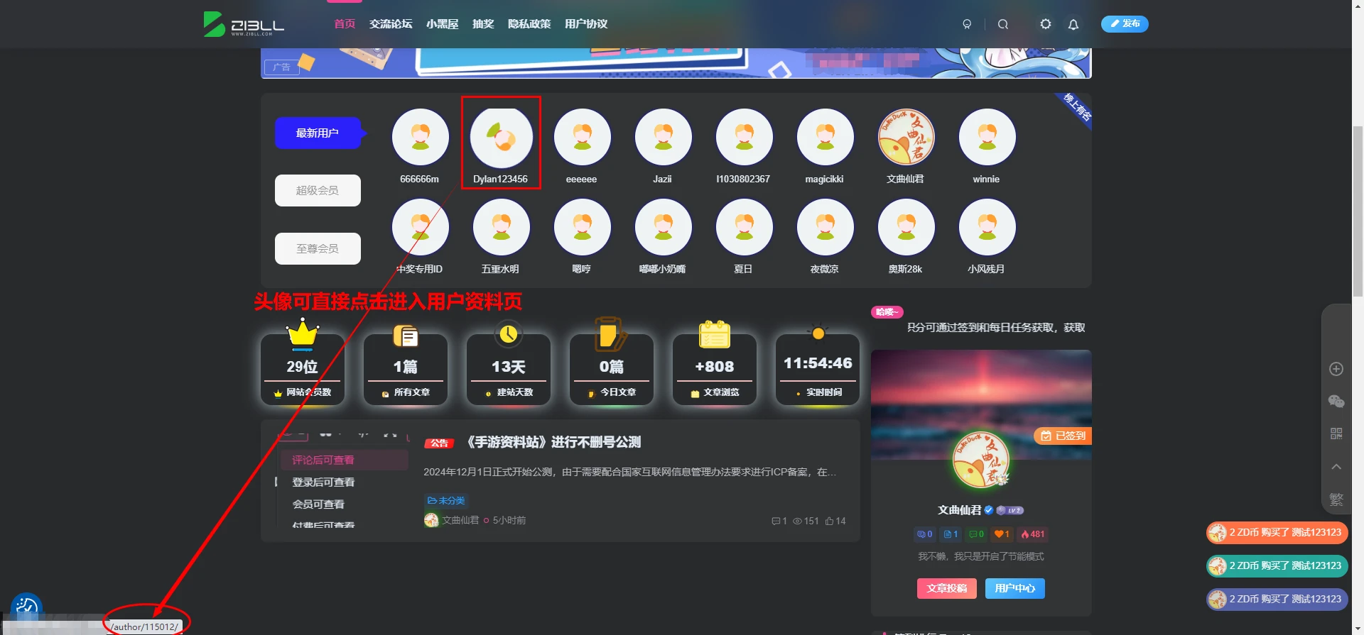 子比主题 首页会员优化小工具插件V1.0