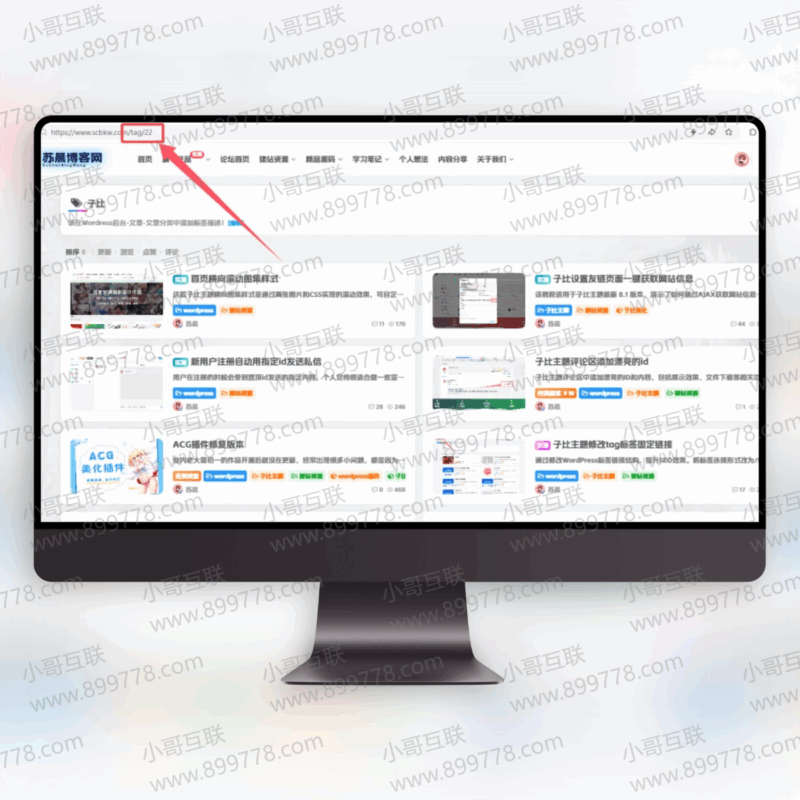 子比主题修改tag标签固定链接【更新】-欢迎各位,本站专注于收集分享各种最新资源、技术教程、绿色软件、还有来自全网的网站模板、网站源码分享以及各种去广告软件下载小哥互联