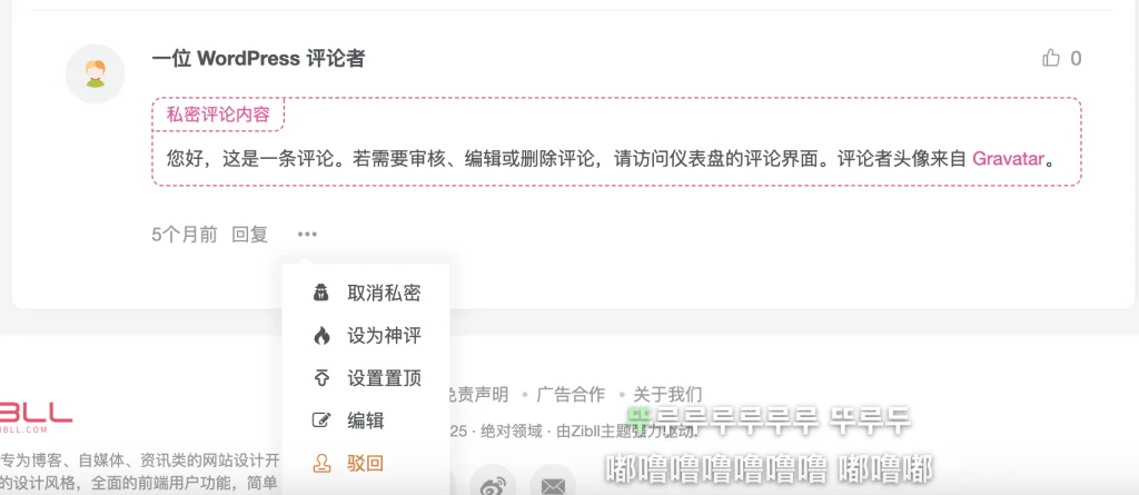 子比主题增加私密评论插图1 20250825195239371-image-94