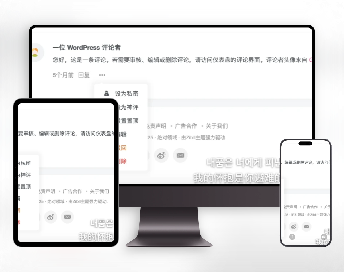 子比主题增加私密评论